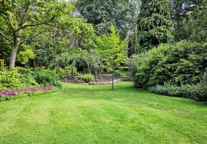 Optimiser l'expérience du jardin à Prunay-le-Gillon